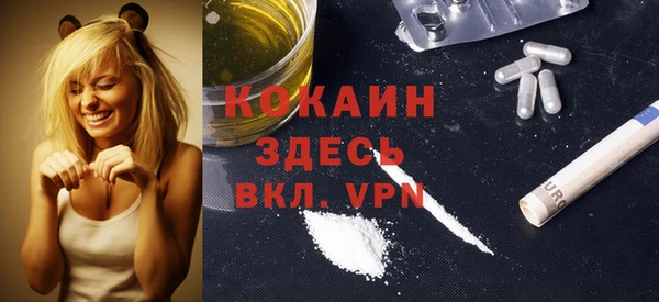 кокс Ельня