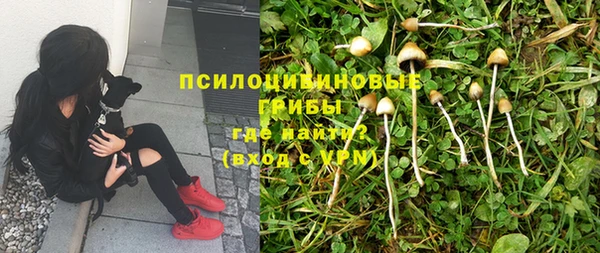 метадон Беломорск