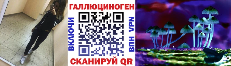 купить наркотик  Светлогорск  Галлюциногенные грибы Magic Shrooms 